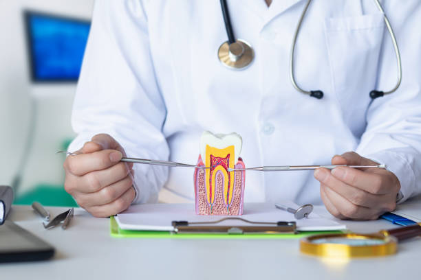 Best Weekend Emergency Dental Services in Mitchell, IL